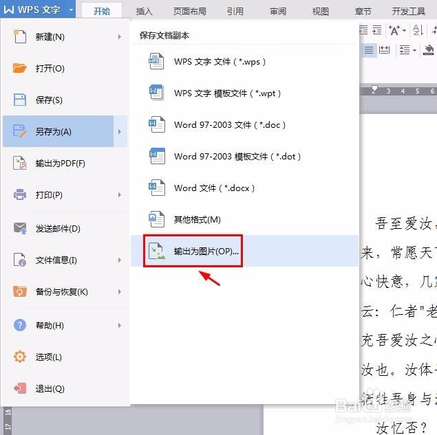 wps文档怎么保存成图片