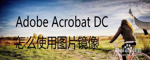 adobe acrobat dc怎麼使用圖片鏡像