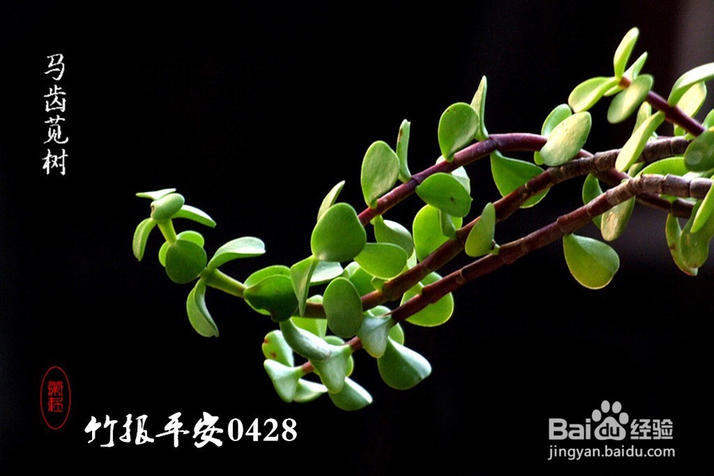 考研复试面试时应当避免的小动作