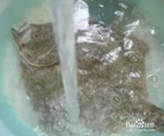 葱油多宝鱼制作方法