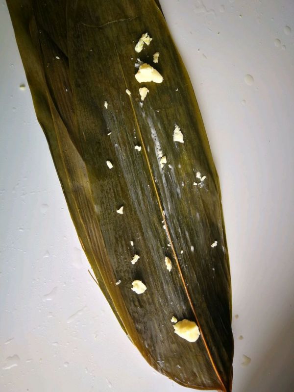 网红水晶西米粽子