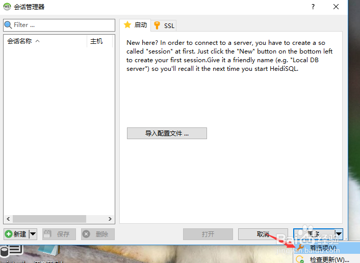HeidiSQL怎么设置设置tab宽度为4