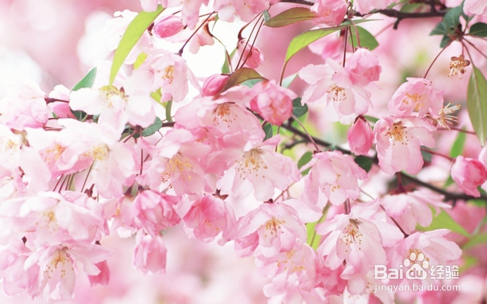 痤疮症状与防治