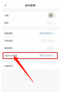 石墨文档怎么绑定个人Apple ID账号