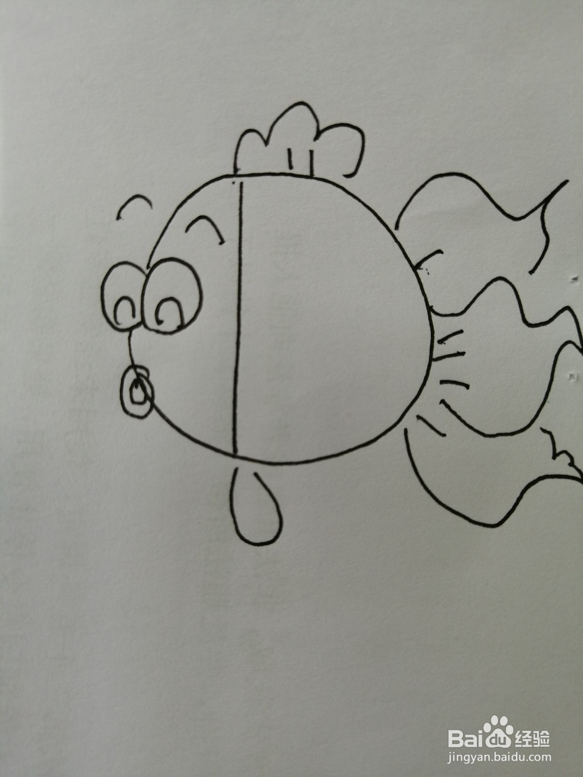 <b>可爱的小金鱼怎么画</b>