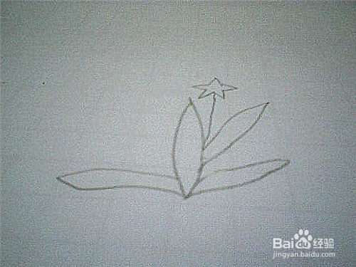 简笔画水仙花的画法