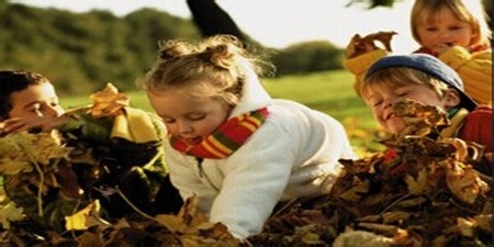 幼儿园课程标准