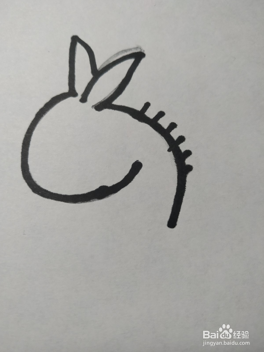 毛驴的简笔画技法6