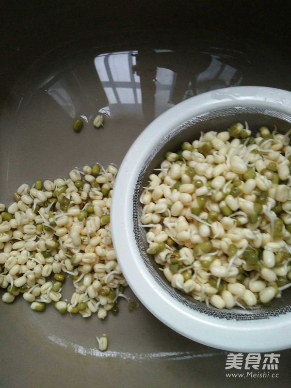 炒自发绿豆芽