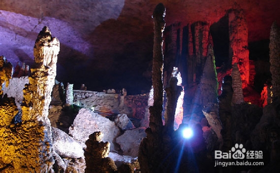 五一张家界自助游