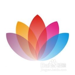 除了百度识图，还有哪些好用又有趣的识图工具？