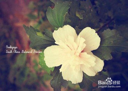 如何穿出法式休闲style（一）