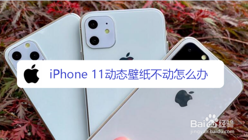 Iphone 11动态壁纸不动怎么办 百度经验