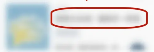 看理想设置倍速播放方法介绍