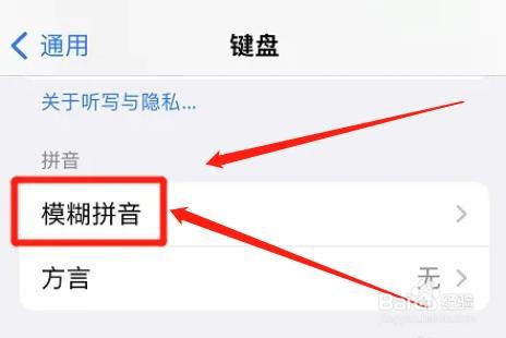 苹果键盘在哪启用模糊拼音功能