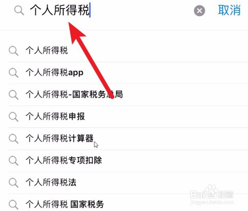 2019国税官方个人所得税APP怎么下载