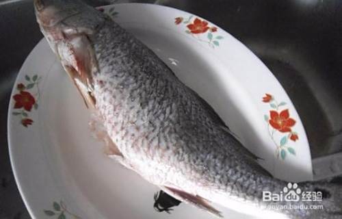 白花鱼怎么做好吃 百度经验