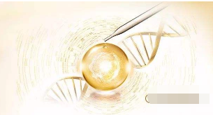 花胶的功效与作用及食用方法大全