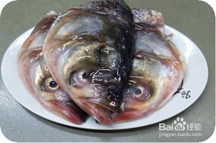 什么情况下,不可以吃鱼以及鱼的什么部位不能吃