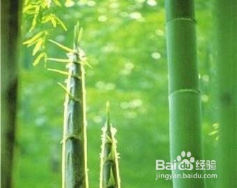 十条能让自身变更好的建议