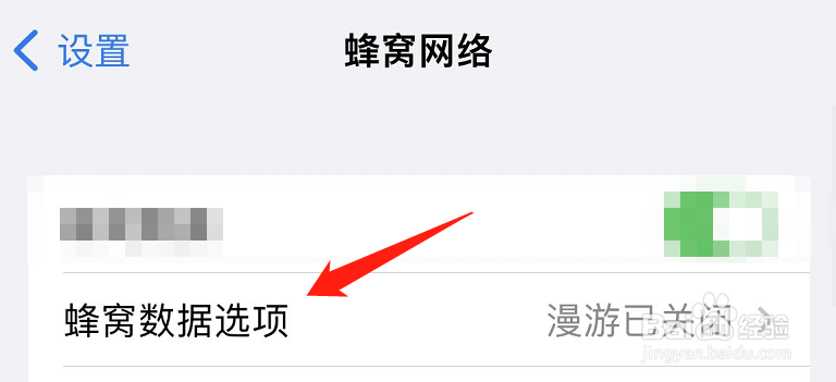 怎么关闭手机的独立5g网络