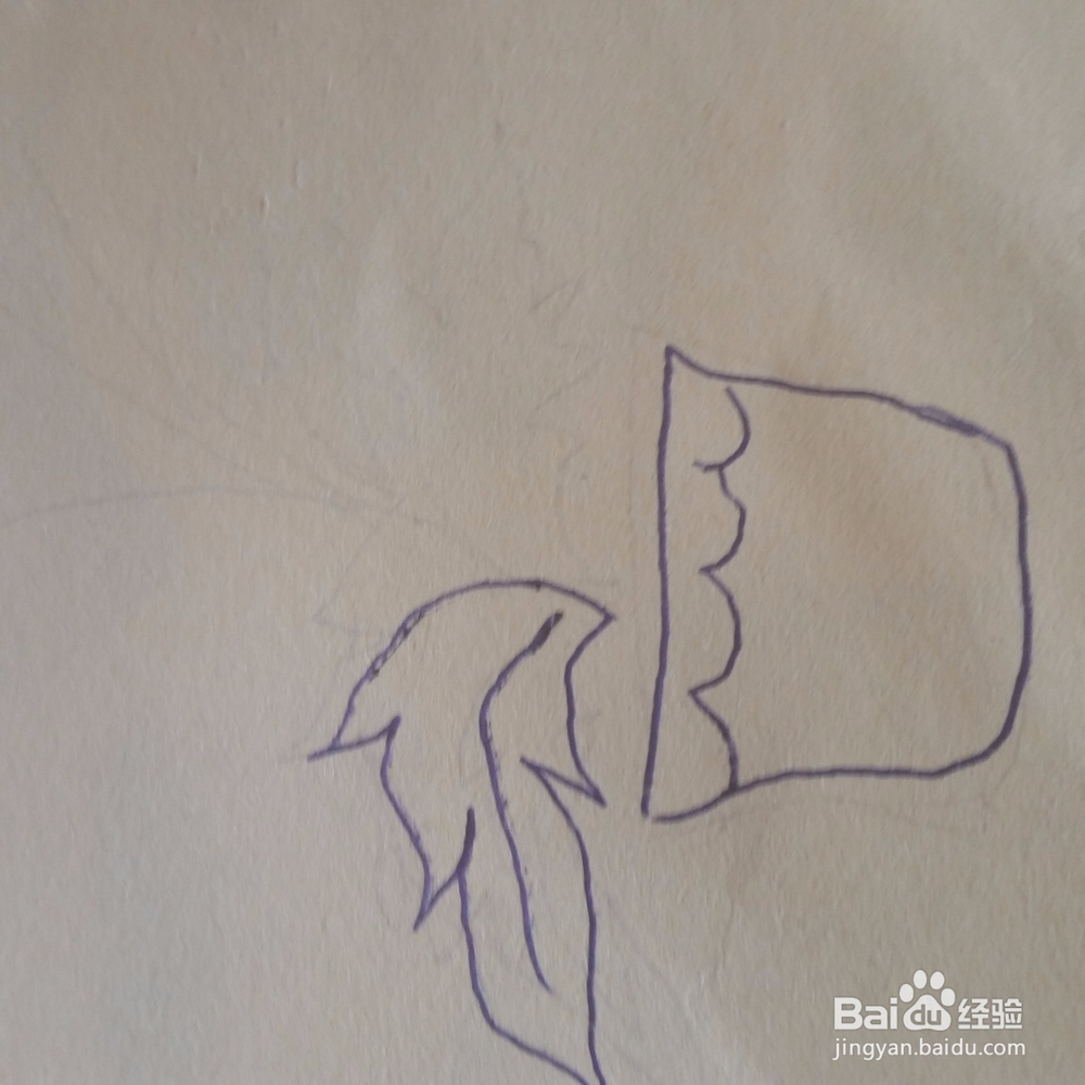 美丽太阳花小盆栽简笔画