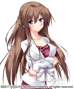 樱色四重奏全攻略