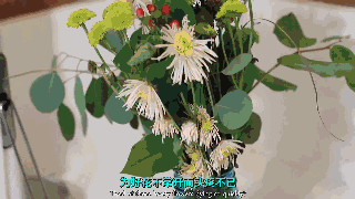 醋的功能太强大了！