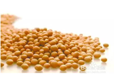 夏天减肥注意事项