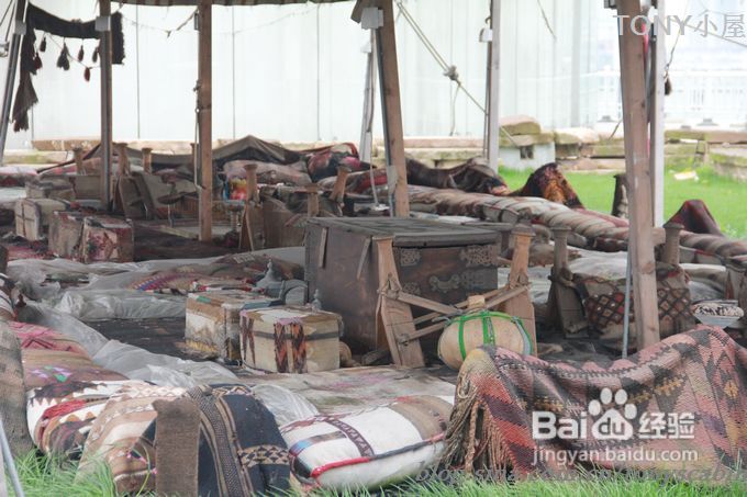 五一长假可以去看看世博园曾经最热门的沙特馆