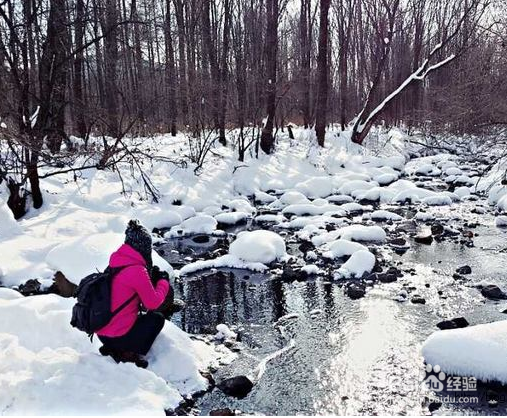 4月份下大雪了怎么办?