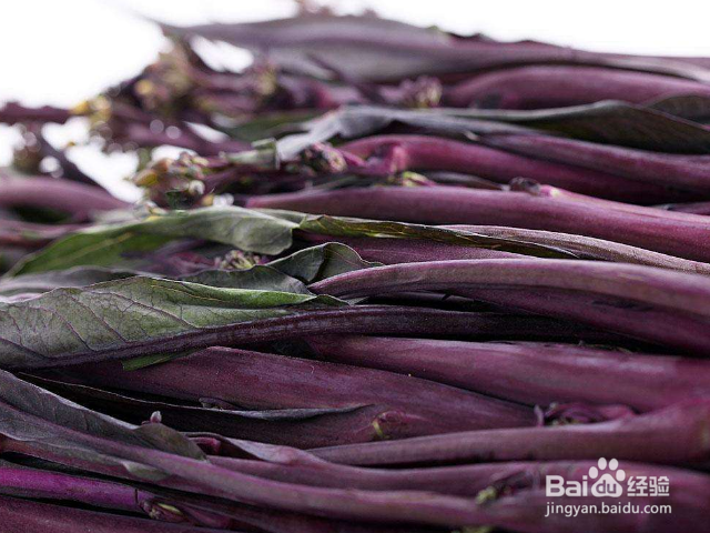 我们在种植红菜苔的时候要注意些什么？
