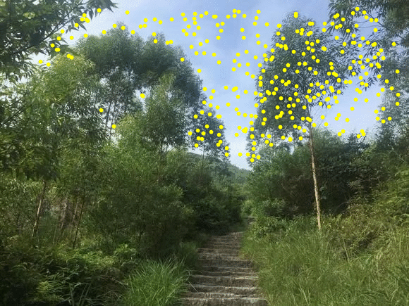 怎么用Mathematica来检测图片的特征点？