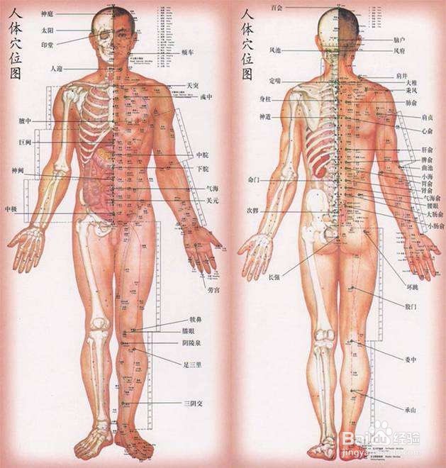 怎么用鄂豫野艾条灸治疗阳痿