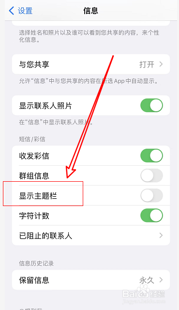 苹果手机如何去显示主题栏