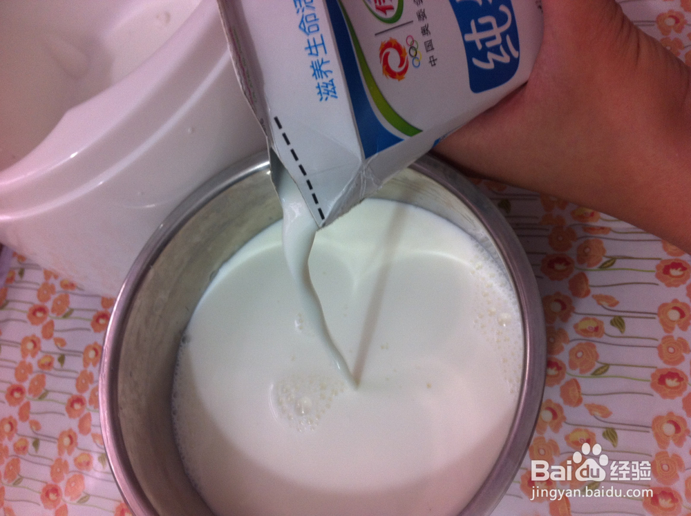 怎样用酸奶菌做酸奶