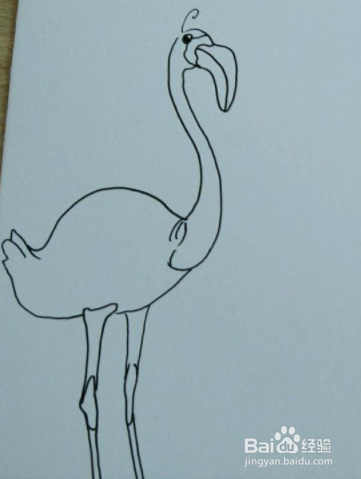 抽象的鸵鸟手绘明信片制作