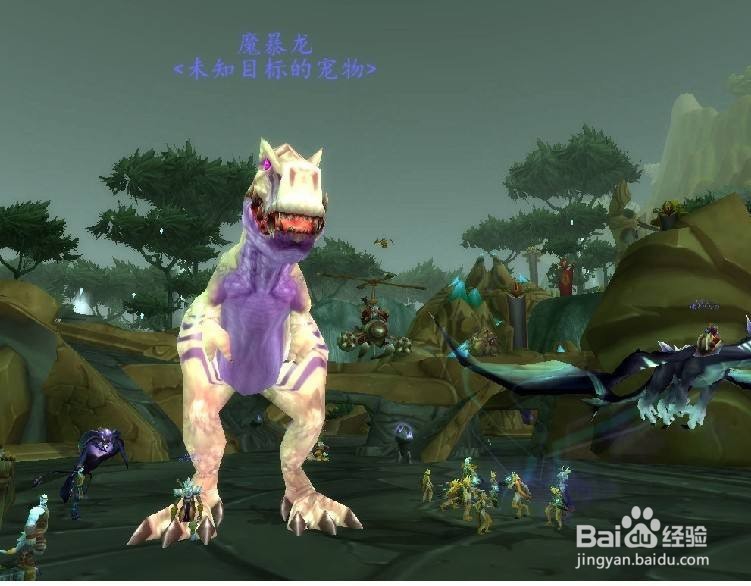 德鲁伊升级攻略