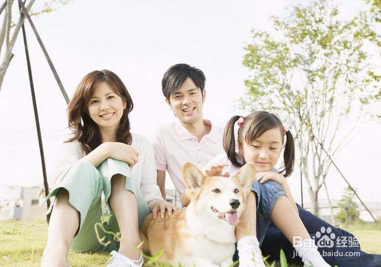 宝宝看电视上瘾怎么办？怎样让宝宝正确看电视