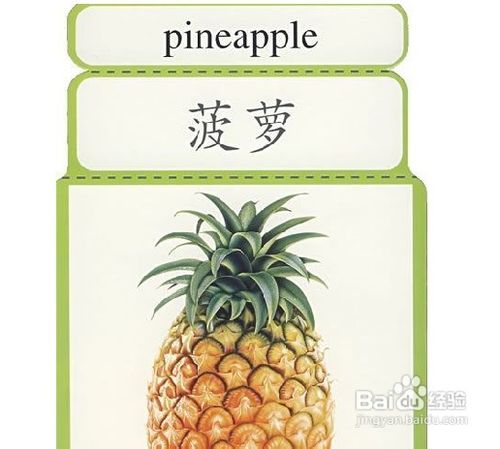 怎样让孩子从小喜欢学英语