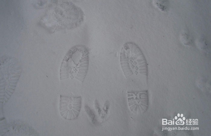 如何在雪地里画画