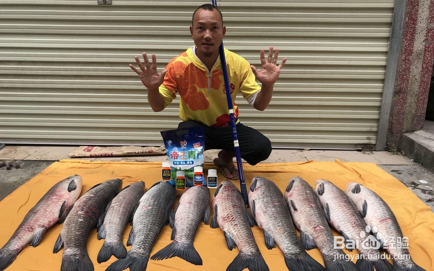 钓青鱼的方法和技巧