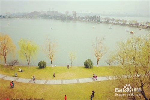 三天元旦假期在南京如何安排行程