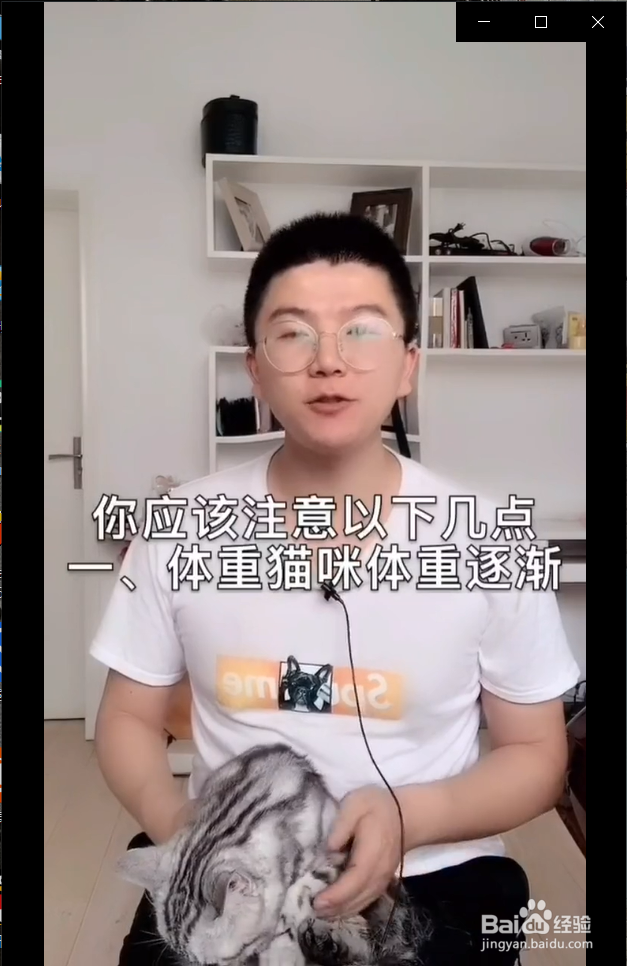 怎么在家给猫咪做体检