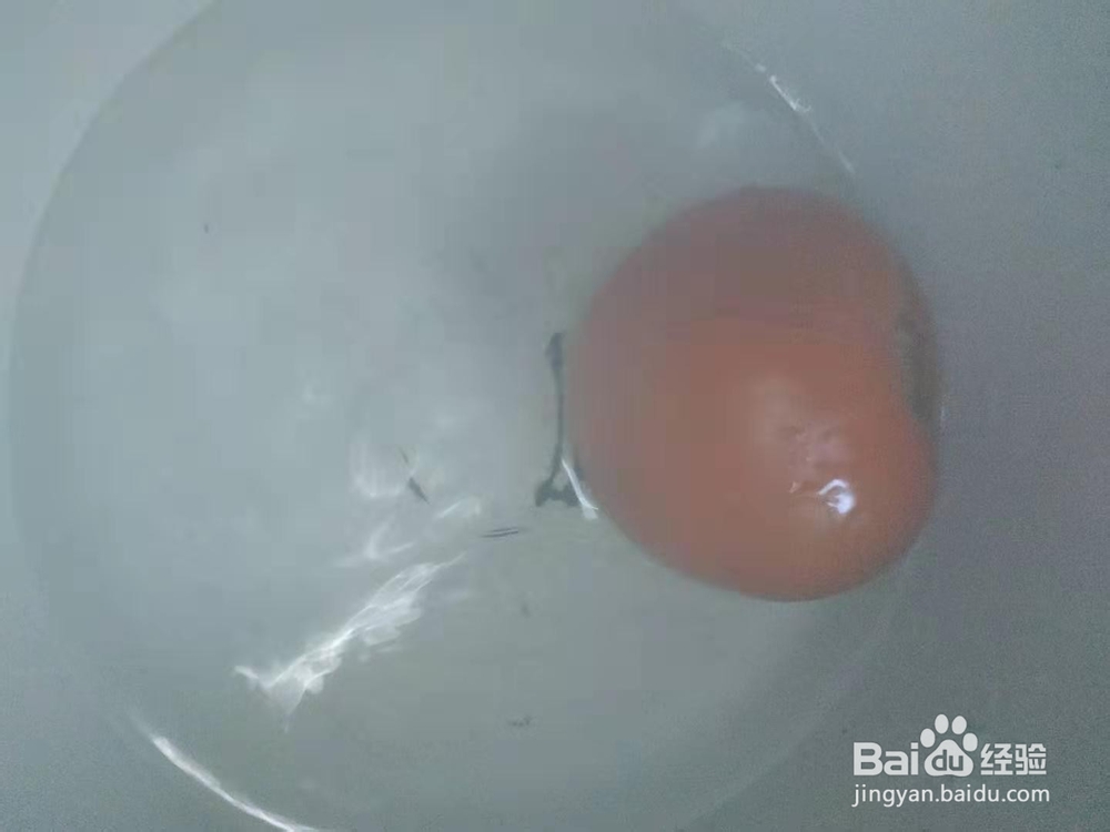 快手菜——青椒番茄炒鸡蛋