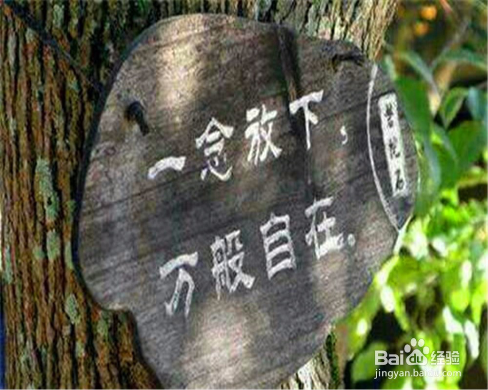 怎么走出失恋的痛苦