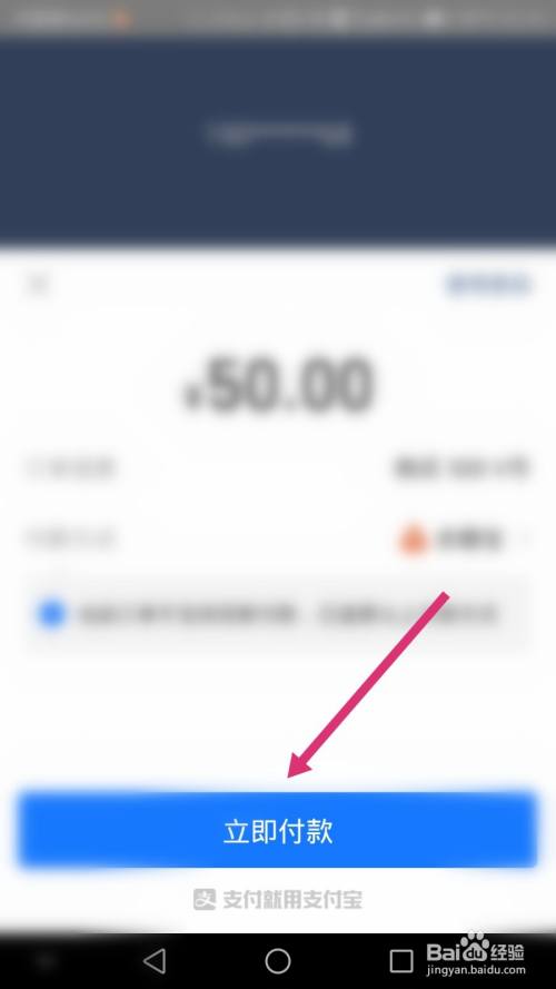 最后点击立即付款,进行支付即可