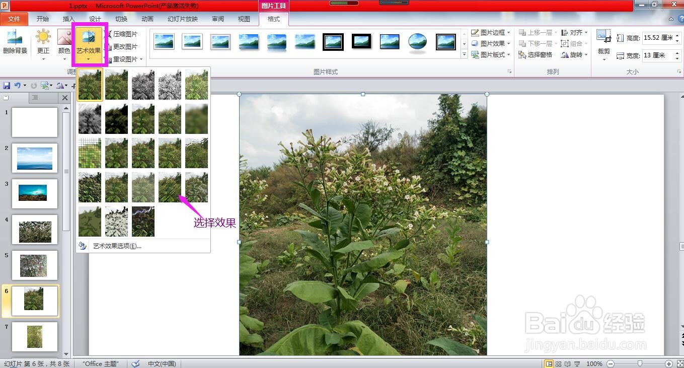 怎样使用PPT设置图片的样式