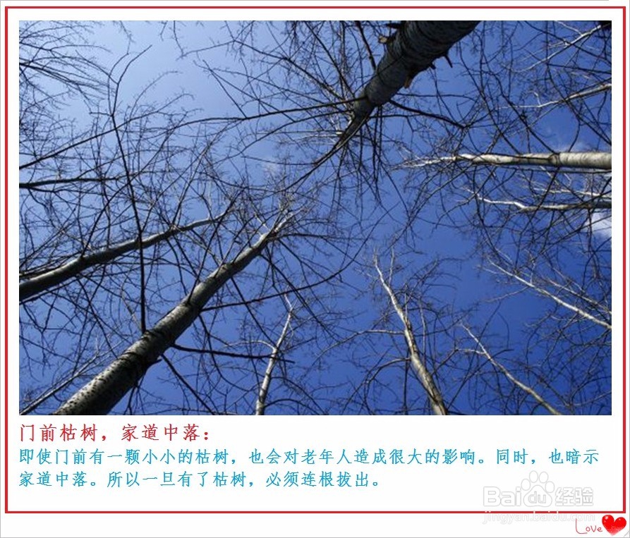 如何选房子[购房要注意哪些事项]