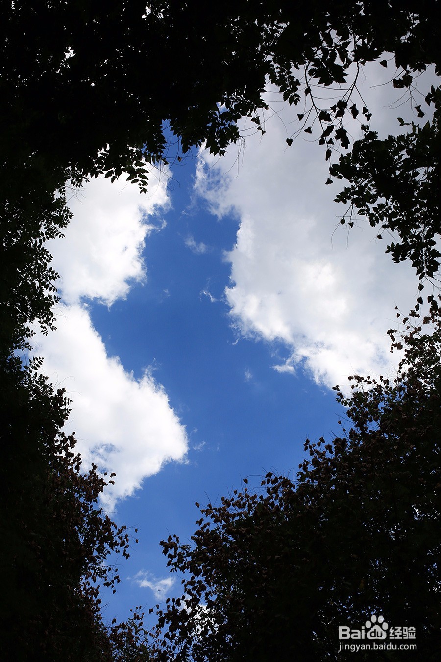 如何用定焦拍蓝天和白云